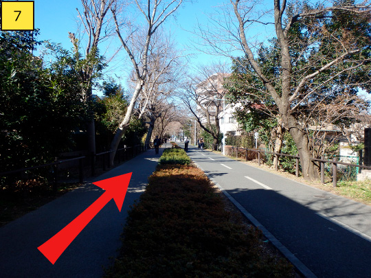 ⑦Go straight forward about 100ｍ. *On your right-hand side, there are many bicycle users because it is a bicycle path. Please be cautious when you walk on this path.