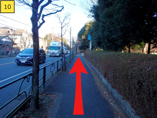 ⑩Then, head to the opposite side of Musashi-koganei station and walk about 50ｍ.