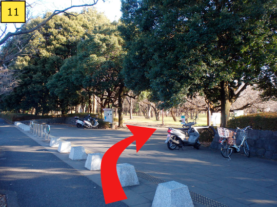 ⑪右側に小金井公園の入口が見えます。