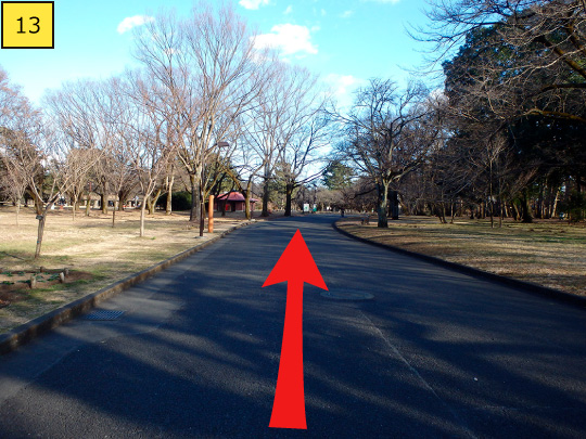 ⑬It gently curves to right, but walk about 130m straight forward along the road.