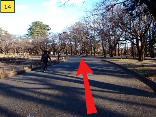⑭It gently curves to left, but walk for 130m straight forward along the road.