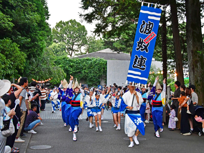 阿波踊りの画像