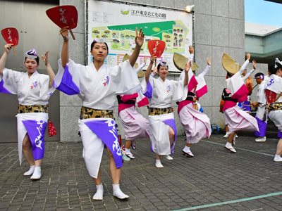 阿波踊りの画像