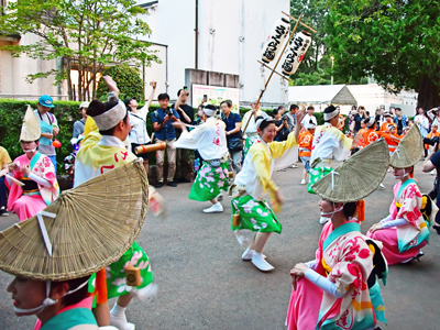 阿波踊りの画像