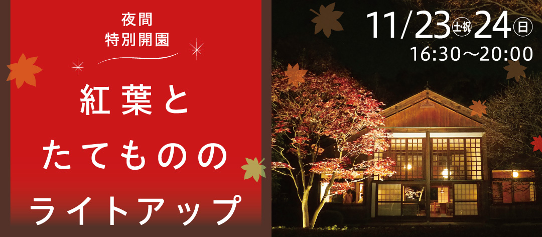 夜間特別開園 紅葉とたてもののライトアップ(2024年)