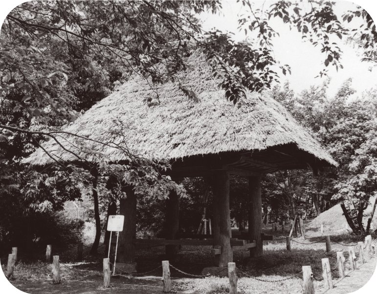 Elevated Granary from Amami-Oshima Island, Showa Period